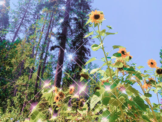 Summer Self Care Rituals