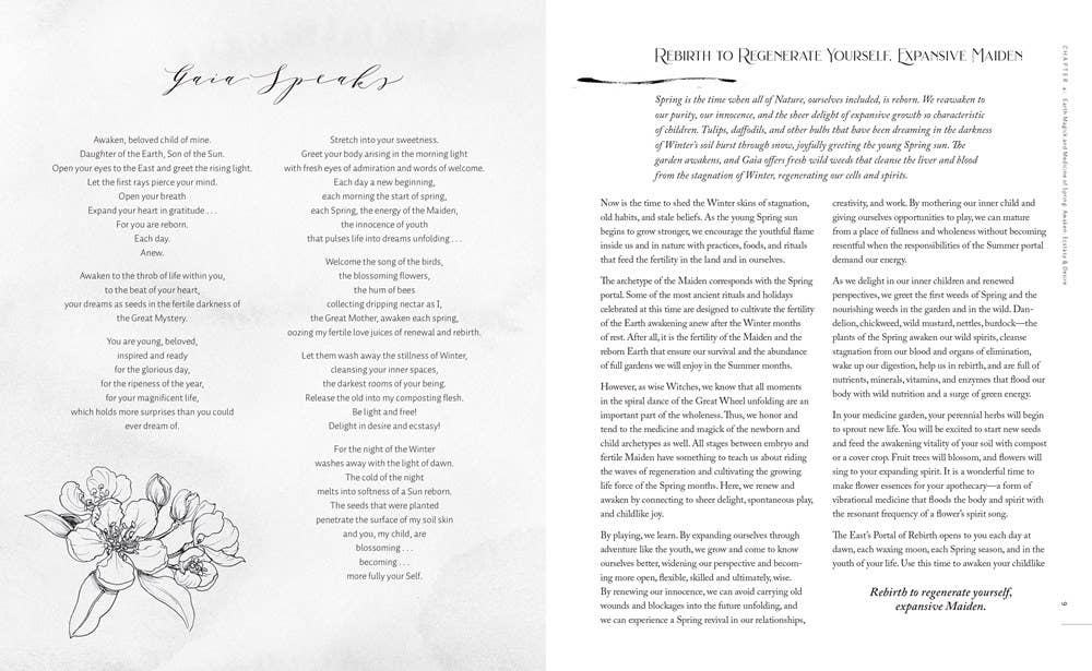 Witch's Herbal Apothecary: Rituals & Recipes
