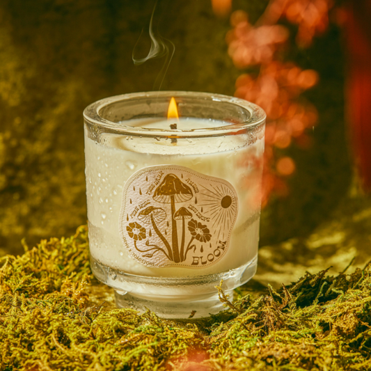 Forest Retro Glass Candle | Fern Moss, Amber, Dew, Tree Bark
