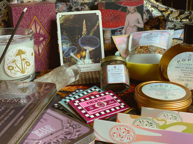 Dreamy Holiday Gifts