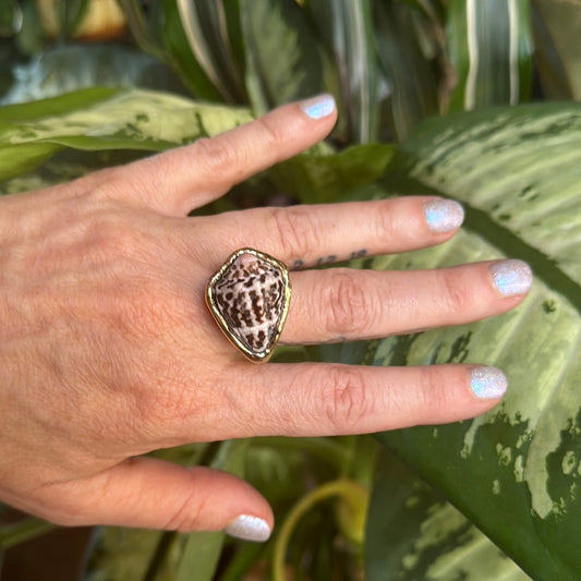 Venus Sea Shell Ring