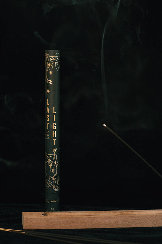 Dark green book titled 'Last Light' on a black background