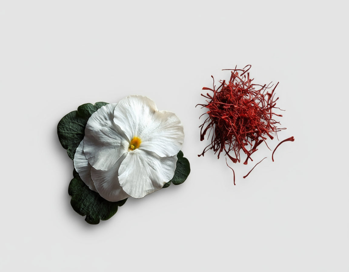 White flower and red saffron on a beige stone surface
