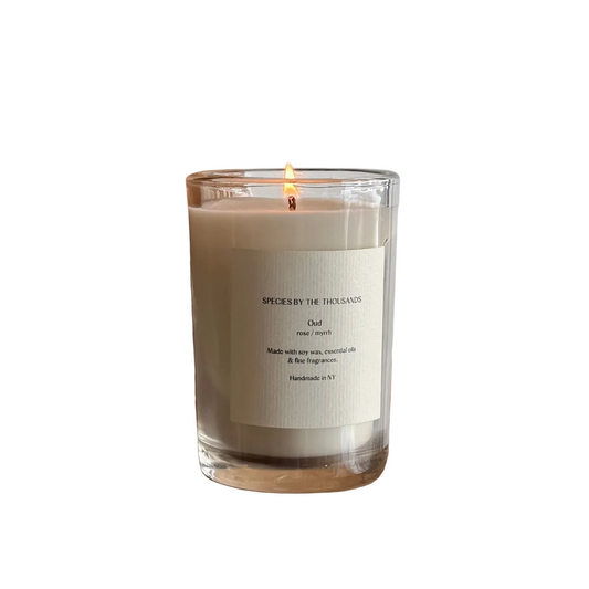 Lit candle against white background.