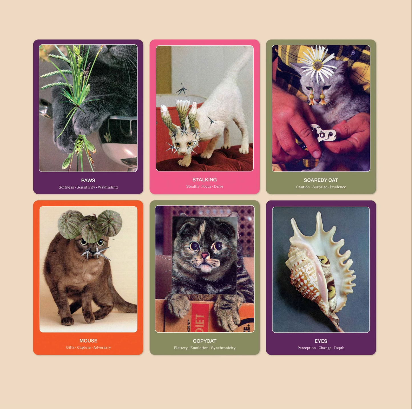 Six cards featuring cats in various poses on a beige background