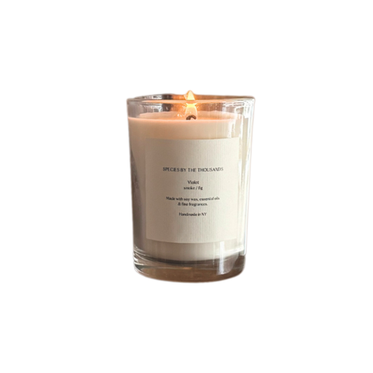 Lit candle against white background.