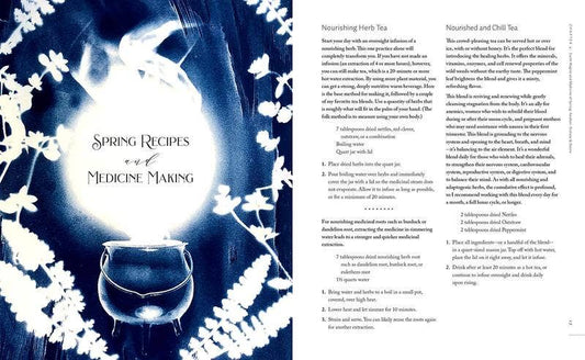 Witch's Herbal Apothecary: Rituals & Recipes