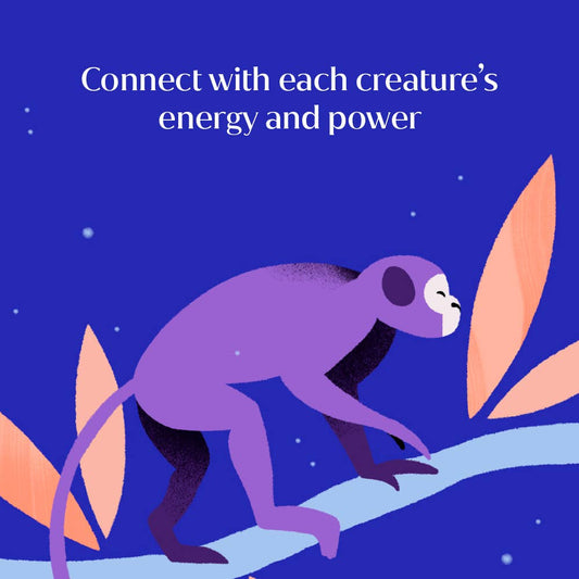 Animal Power Deck | 75 Animal Spirit Cards & Guidebook for Intuition